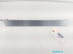 Dash Trim 2