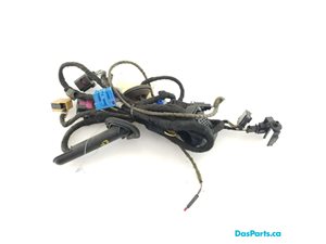 Door Harness RF 1