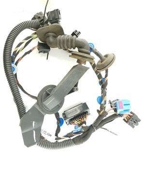 Door Harness RF 1
