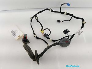 Door Harness RF 1