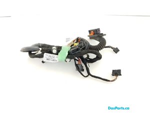 Door Harness LF 1