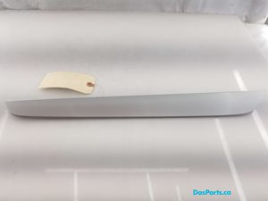Door Trim LR