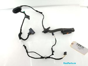 Door Harness RR 1