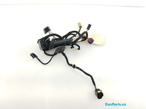 Door Harness RF 1