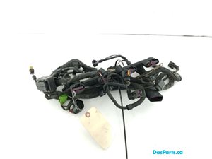 Main Engine Harness