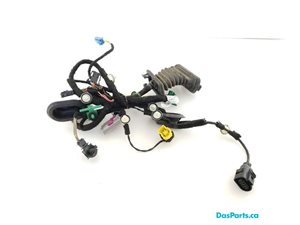 Door Harness RF 1