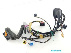 Door Harness RF 1