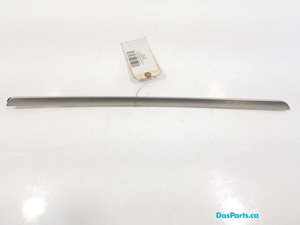 Door Trim RF