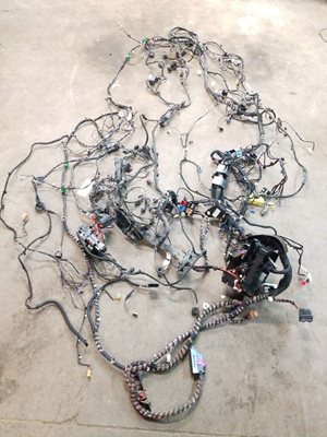 Body Harness