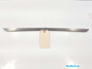 Door Trim LR