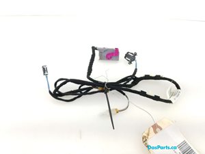 Door Harness LR 2