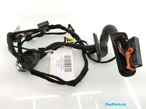Door Harness RF 1