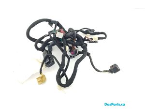 Door Harness LF 1
