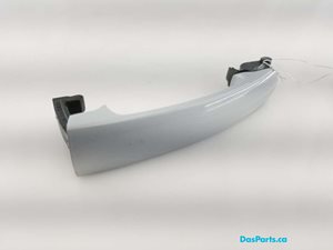 Door Handle LF