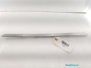 Door Trim LR