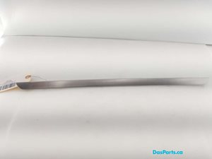Door Trim RF