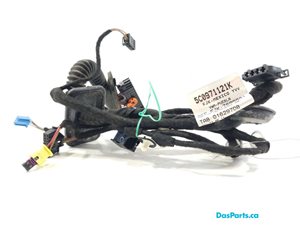 Door Harness RF 1