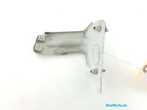 Fender Support LF