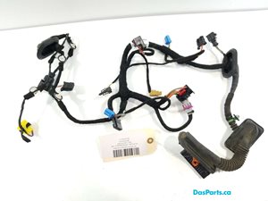 Door Harness LF 1