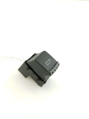 Trunk Release Switch